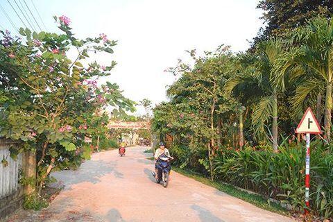 Xây dựng Nông thôn mới ở Điện Bàn